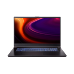 PC PORTABLE GAMING CLEVO