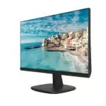 Connectique et ports de l'écran HIKVISION DS-D5024FN LED, vue rapprochée.