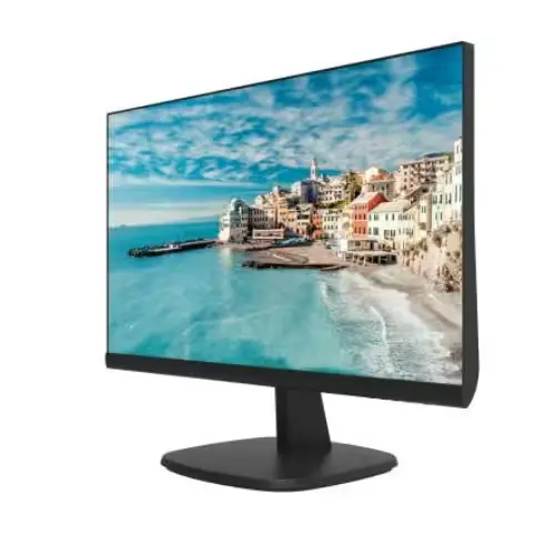 Connectique et ports de l'écran HIKVISION DS-D5024FN LED, vue rapprochée.