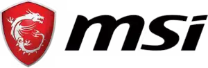 MSI