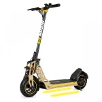 Ecoxtrem Trottinette électrique Bison GT 1000W sur terrain accidenté.