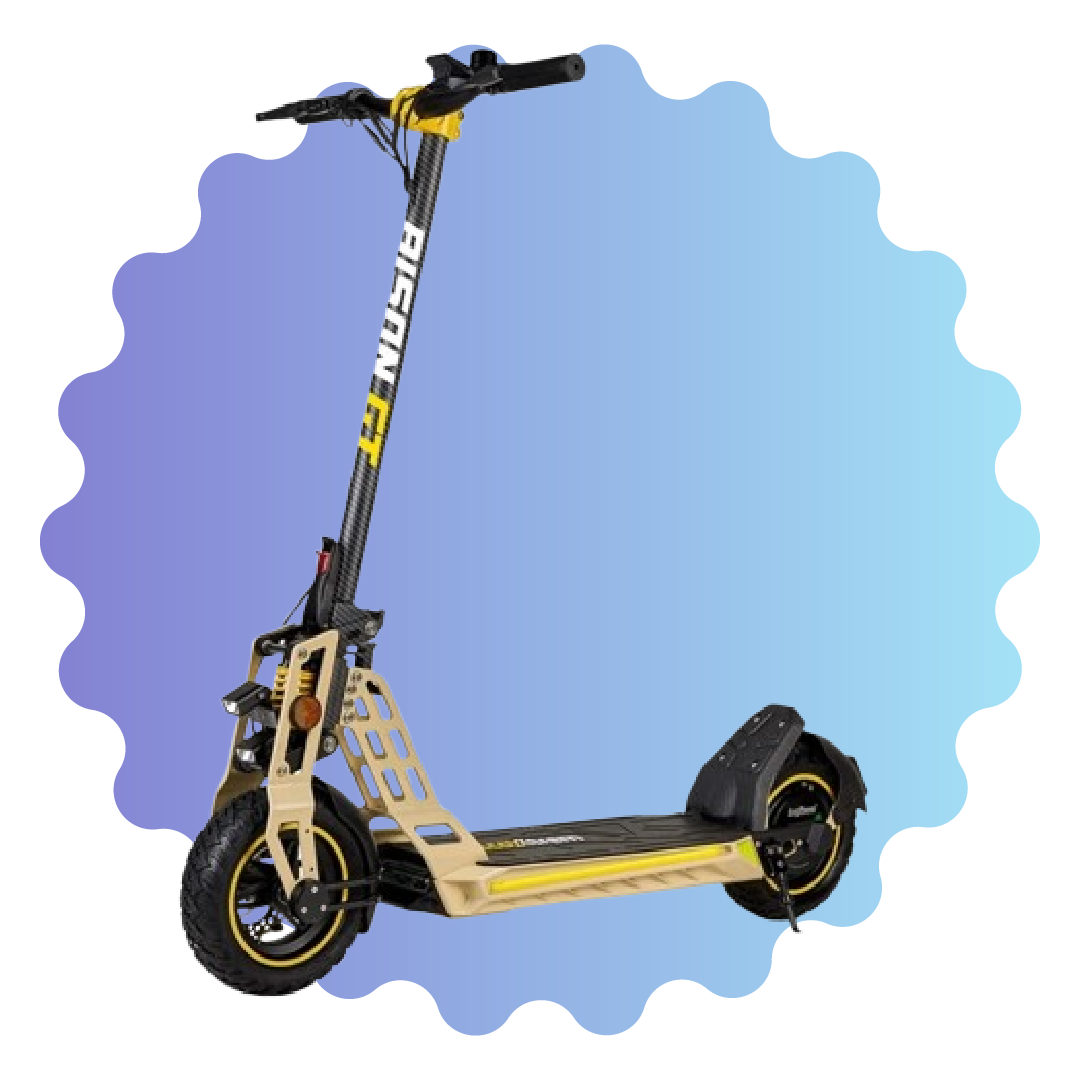 Trottinettes Électriques